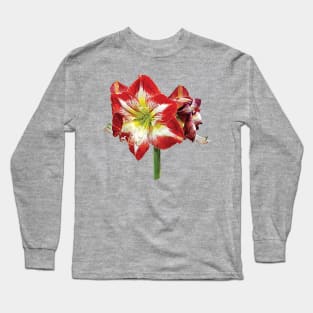 Amaryllis Minerva Long Sleeve T-Shirt